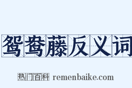 鸳鸯藤反义词是什么意思的图片